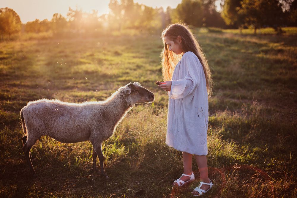 Girl with sheep