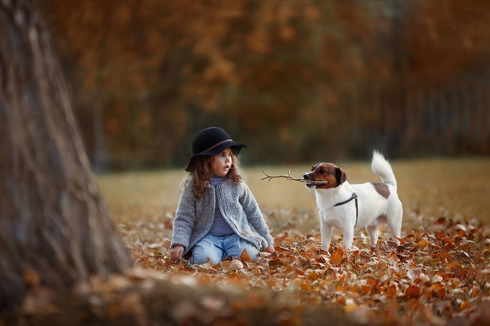 Дружок, ты ли это?!