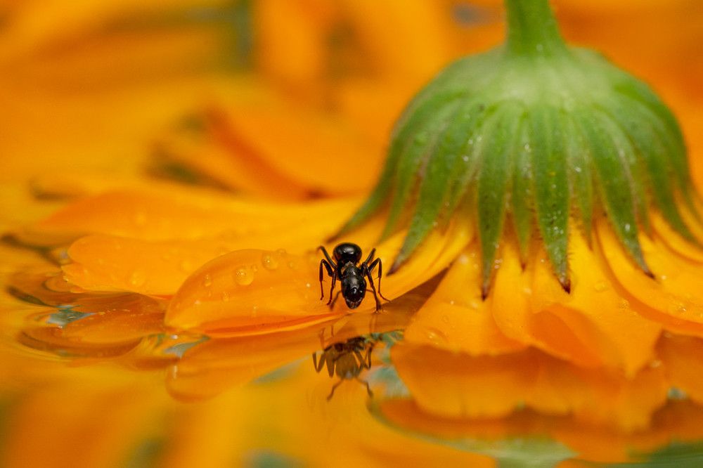 Photograph by Татьяна Золотых