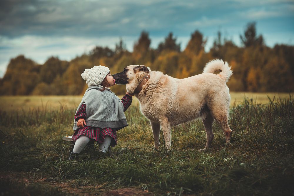 Вот такая вот любовь!