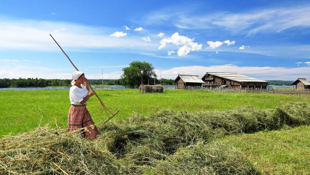Сенокосная пора.