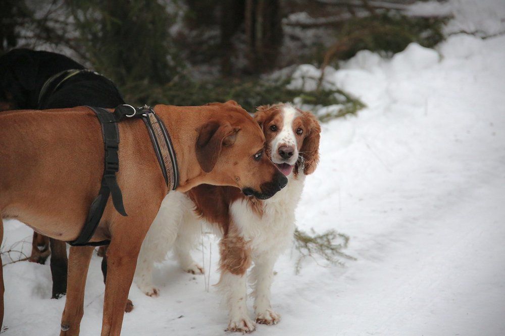 Так давно тебя не видел...