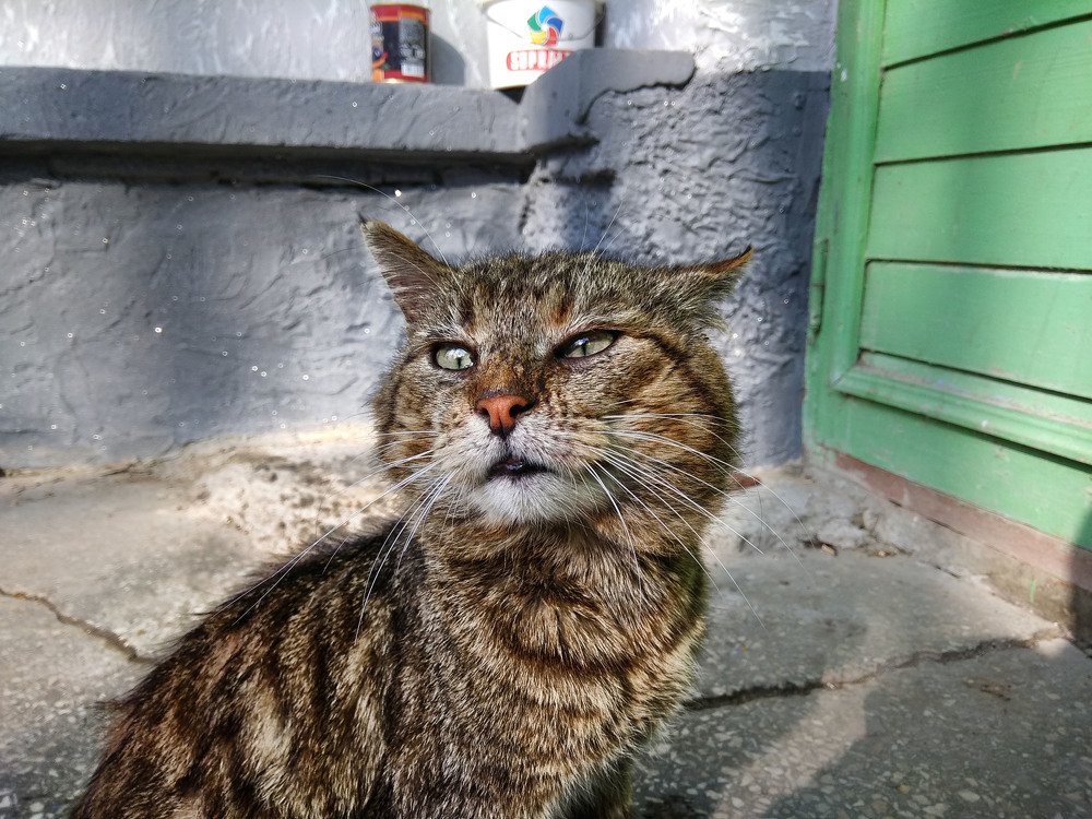 Photograph by Евгений Мериакре