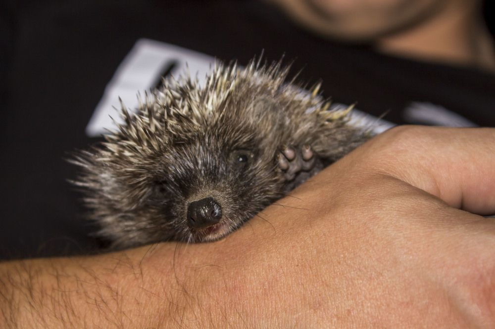 Photograph by Евгений Мериакре