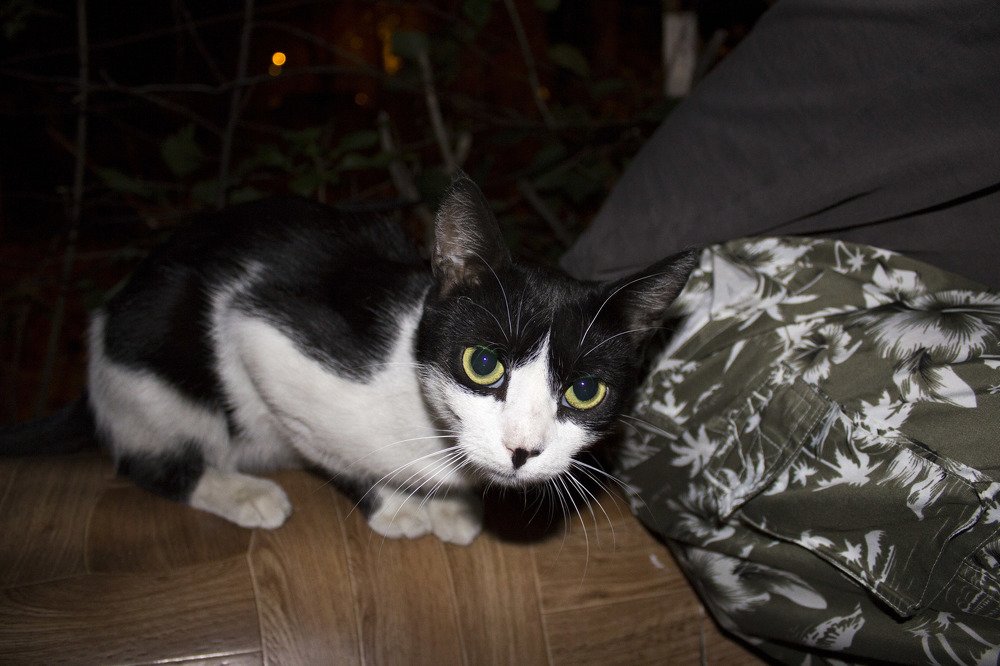 Photograph by Евгений Мериакре