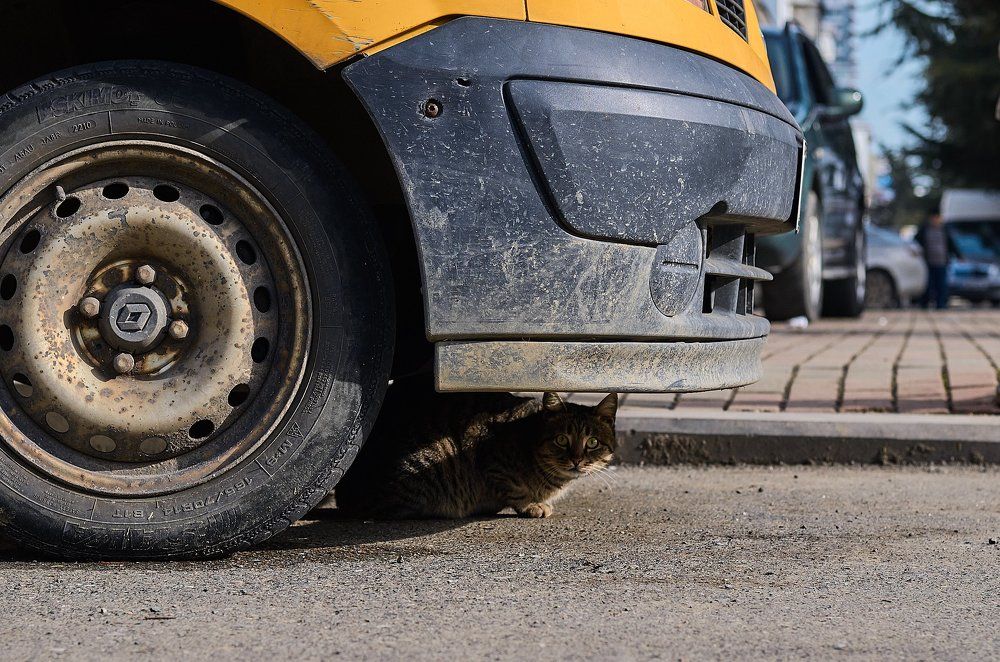 Photograph by Данил Тетёркин