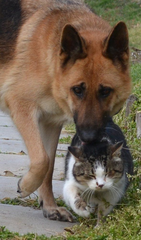 Photograph by Нелли Солодовникова