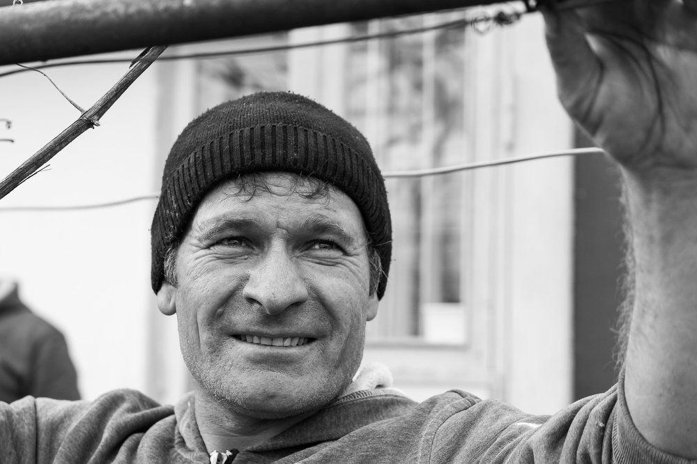 Обрезка винограда в теплый декабрьский день