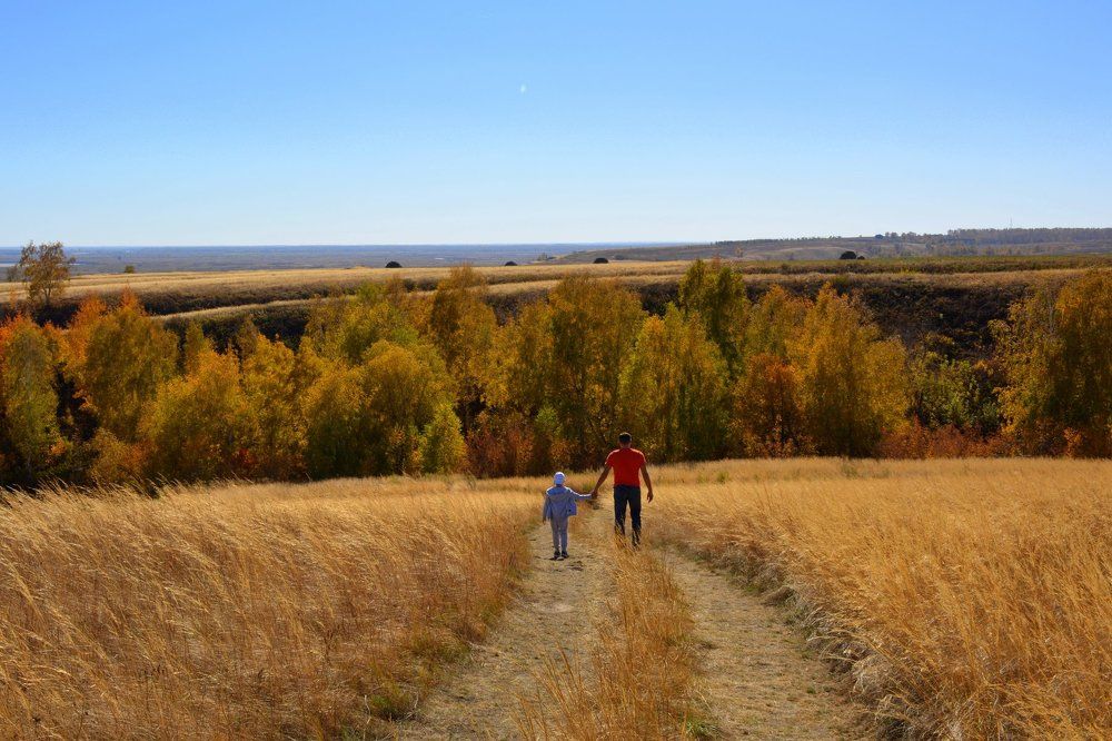 прогулка в осень