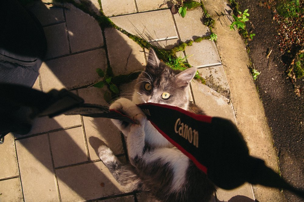 Photograph by Воробьёв Евгений