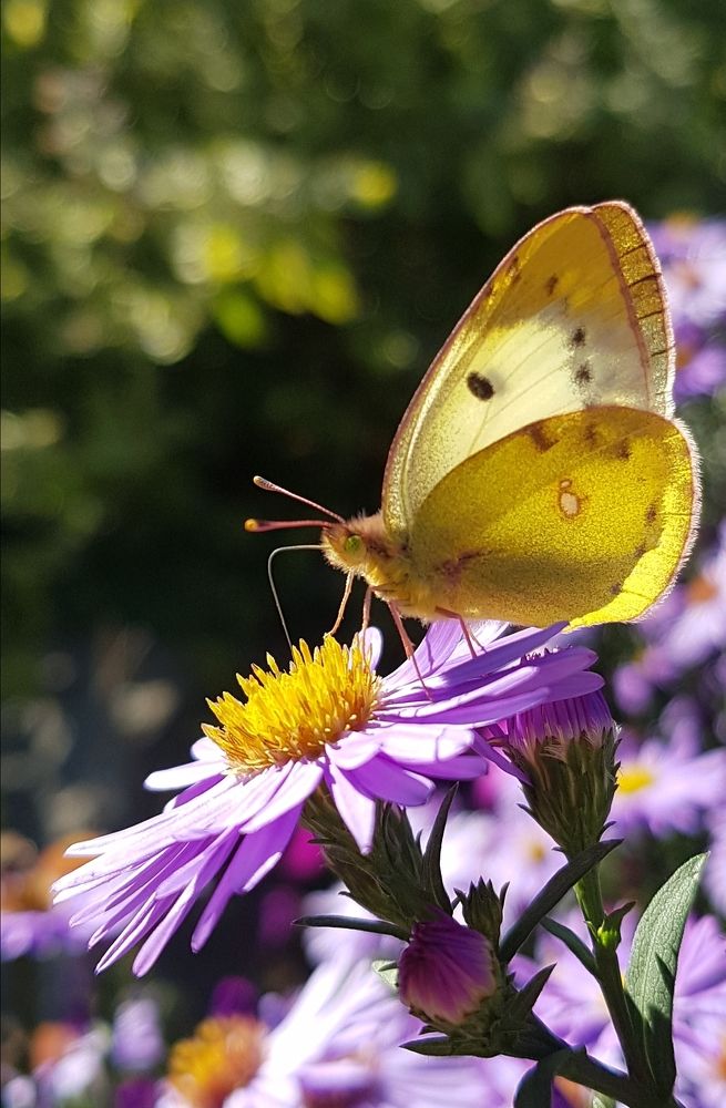 Подобное притягивает подобное