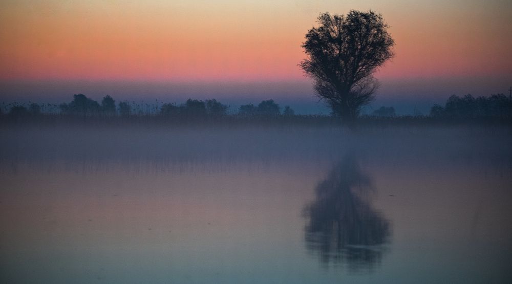 Photograph by 