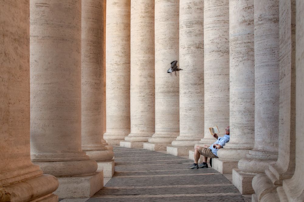 In quest of peace. Roma, 2017.