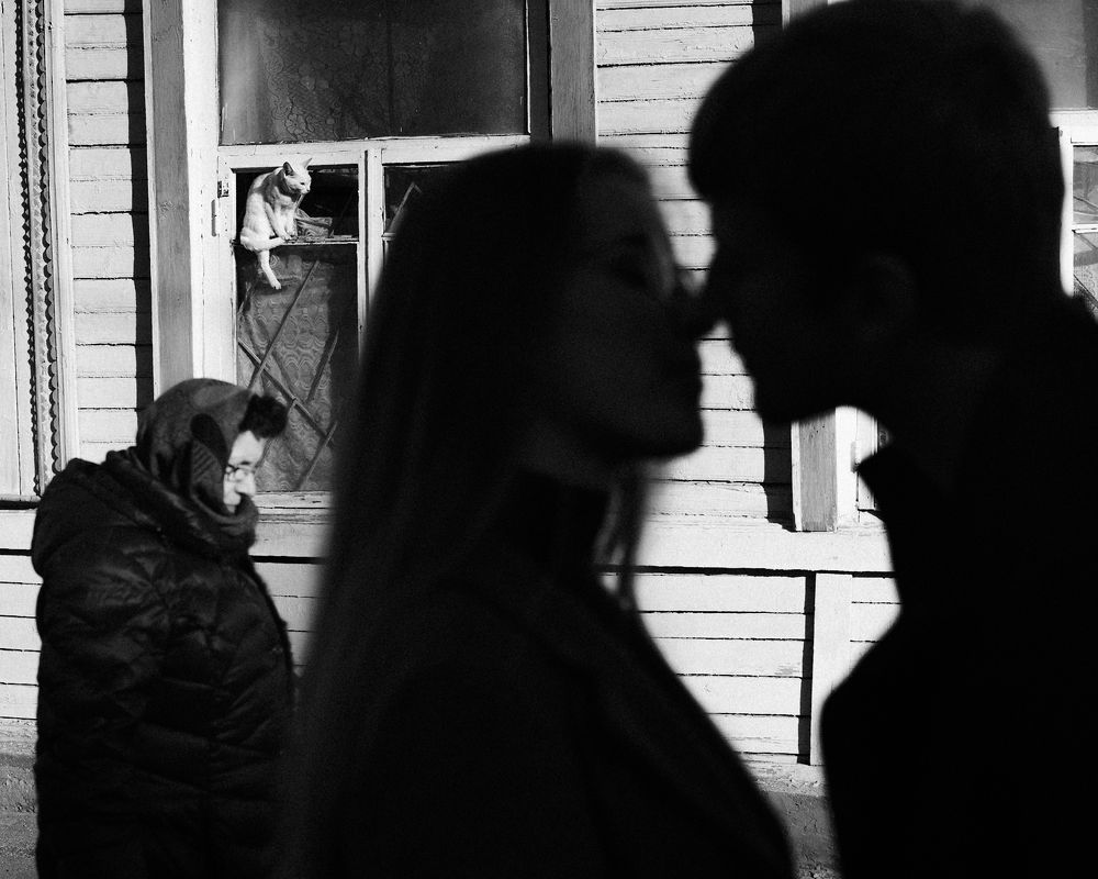 Кот, женщина и любовь