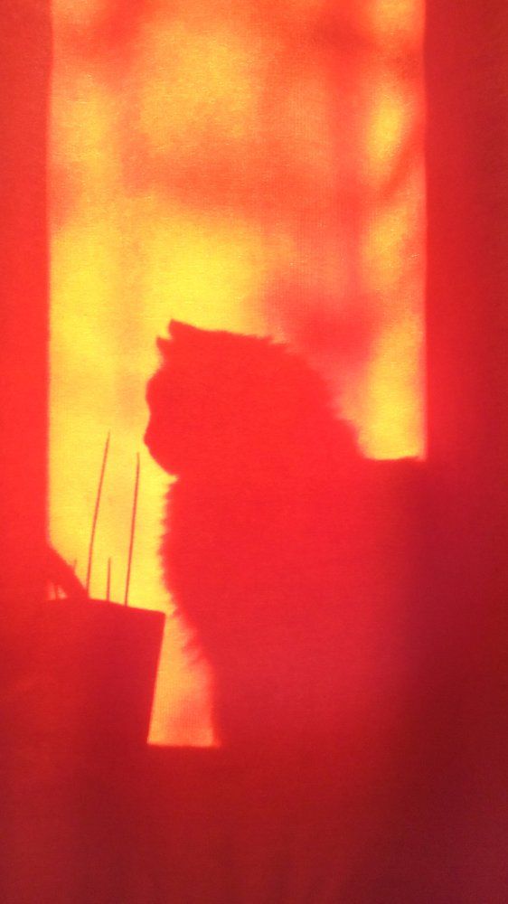 Театр теней