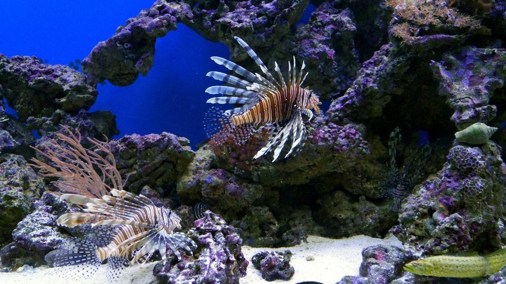 Photograph by Светлана Сушкевич