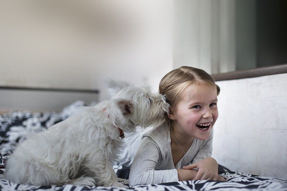 Щенок Бублик хочет откусить "хвостик"