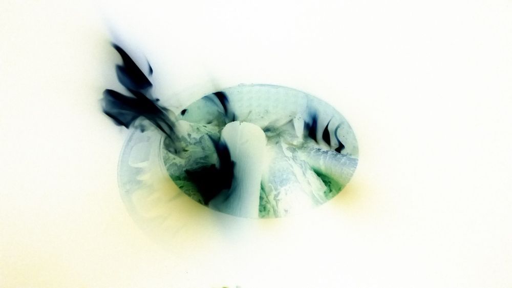 Photograph by Marius Žvikas