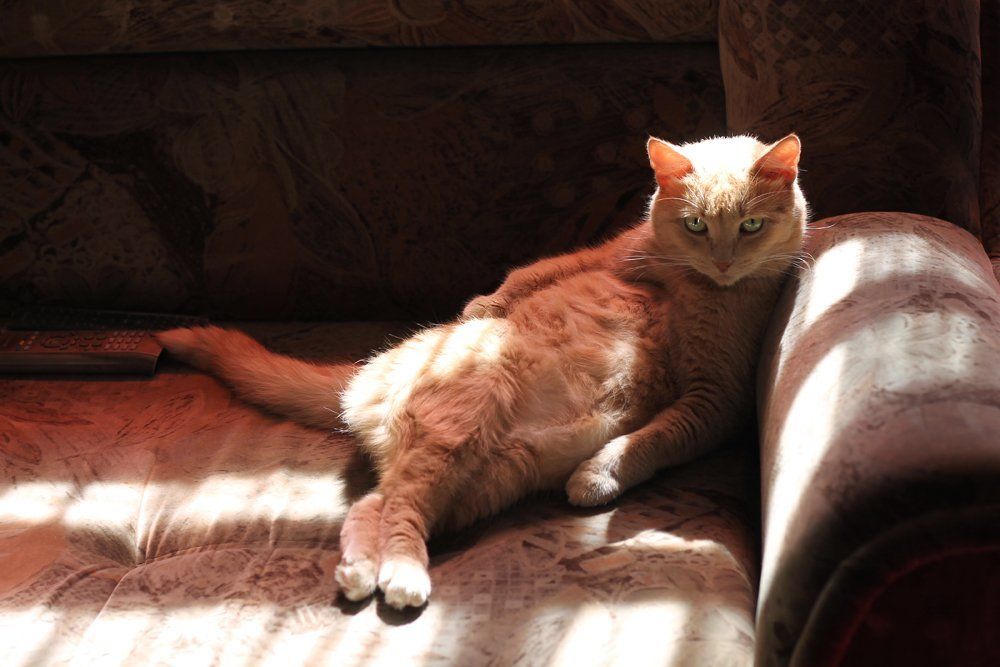 Царский отдых