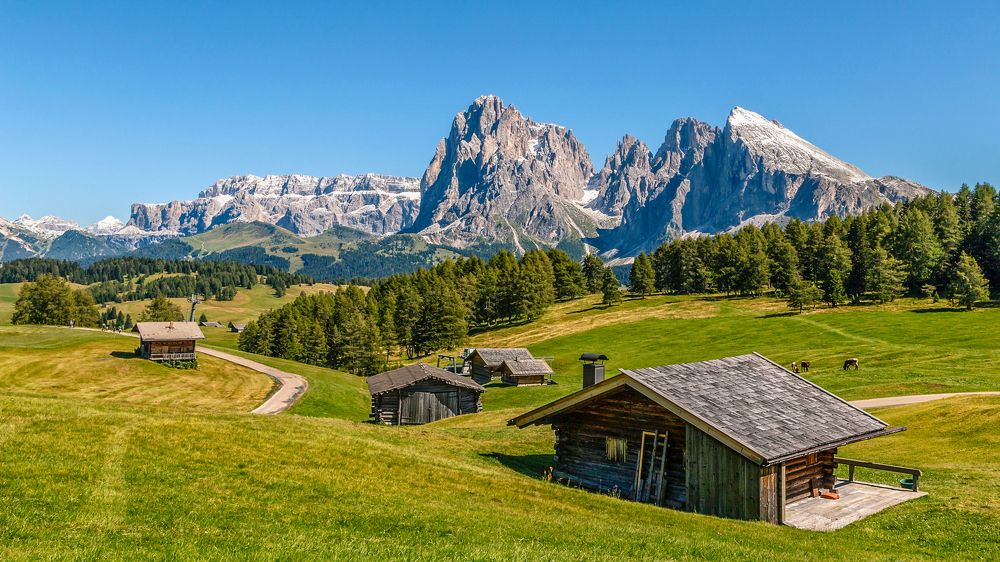 Альпийский луг.