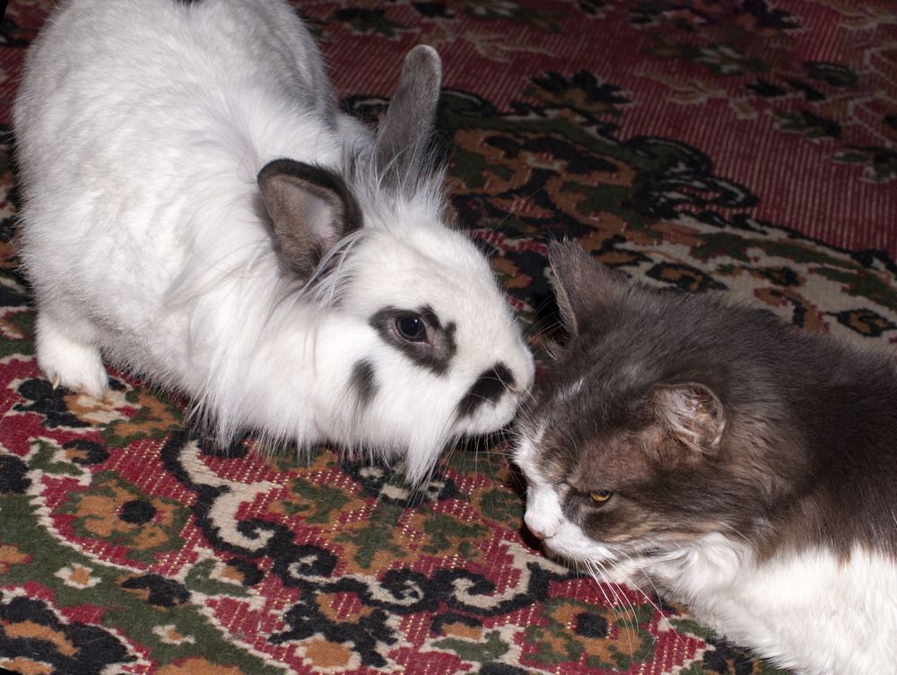 А ты красивая !