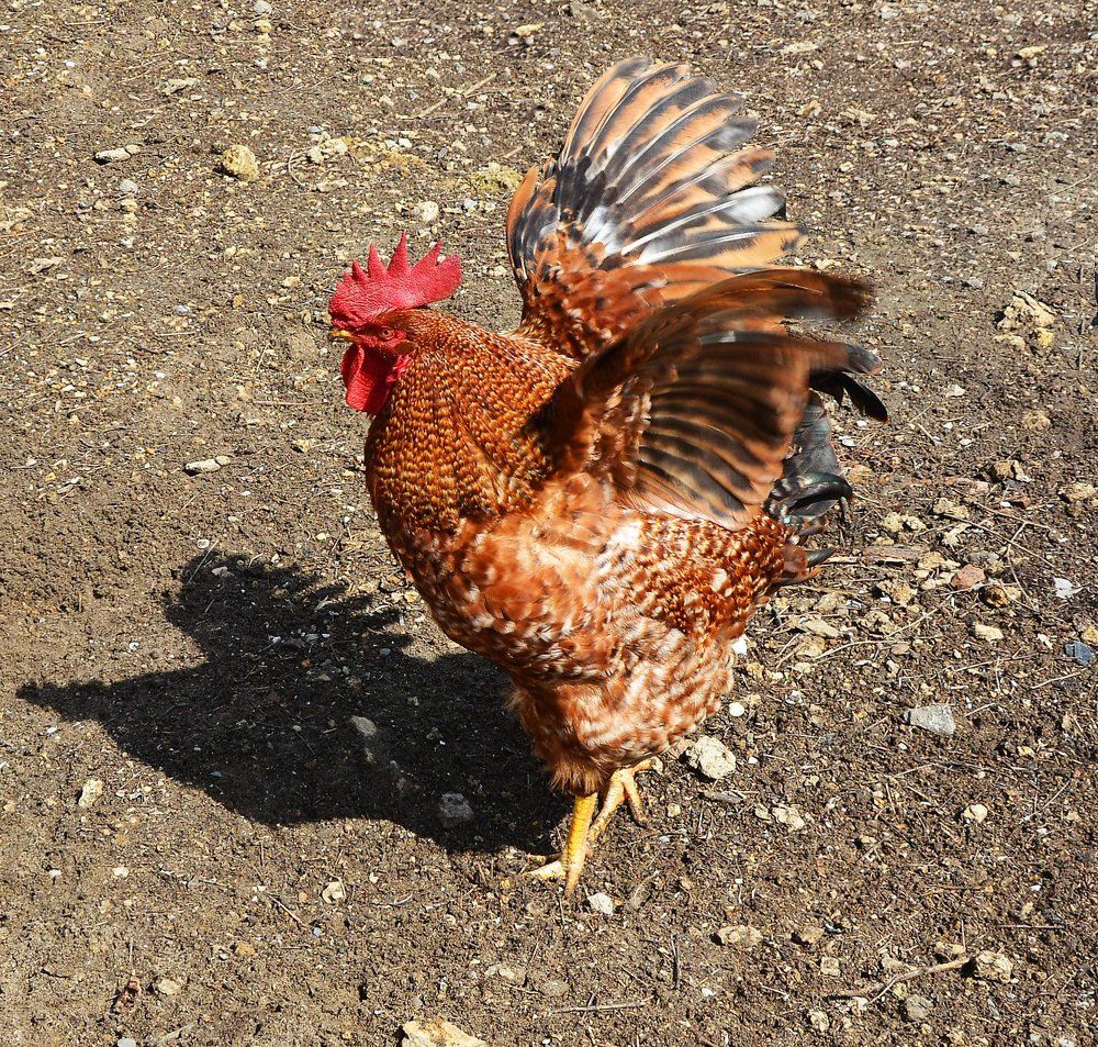 Photograph by Нелли Солодовникова