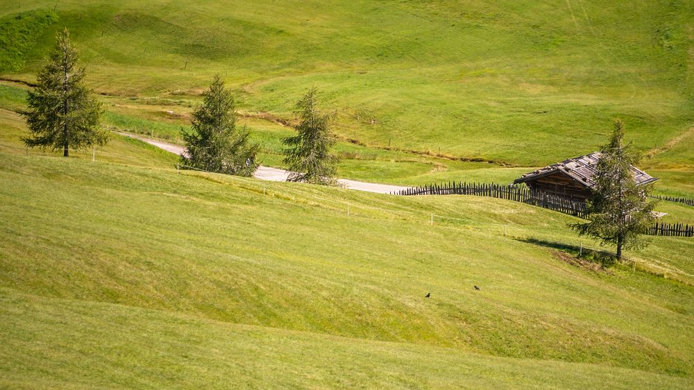 Photograph by Маргарита