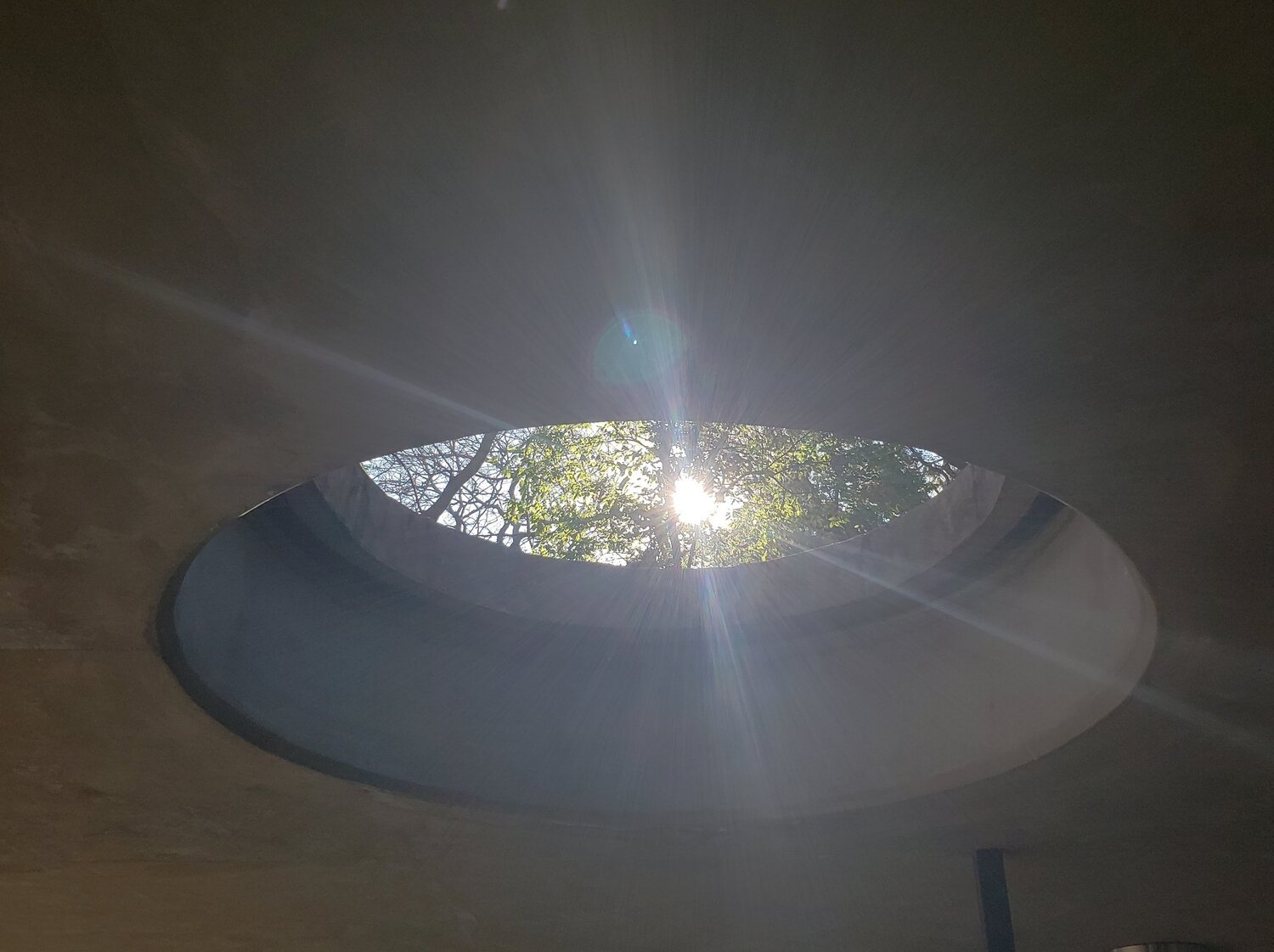 Oval light