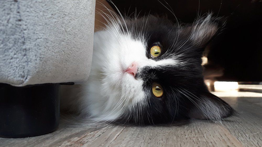 Как ни крути