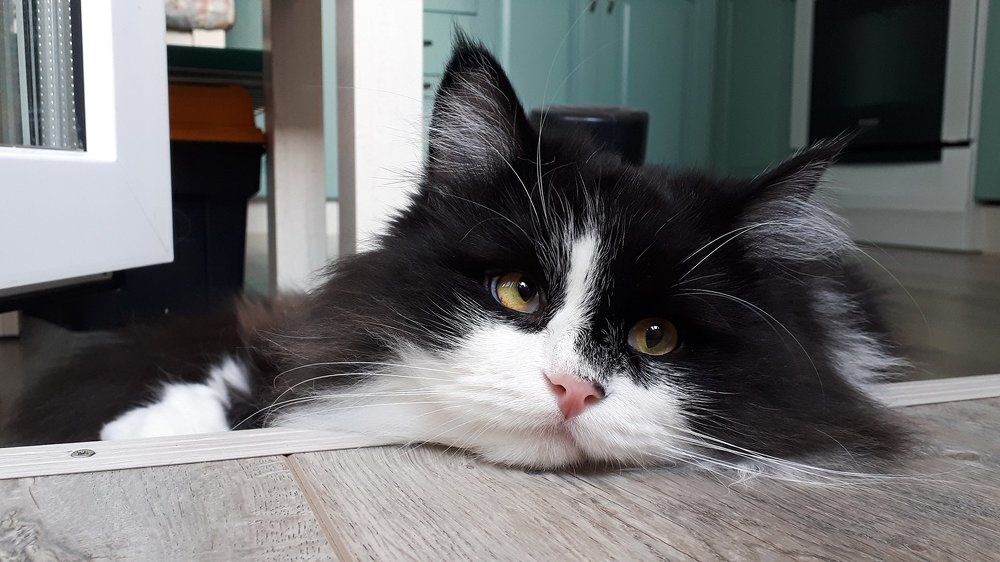 Осенняя тоска