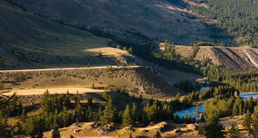 Вечерние лучики