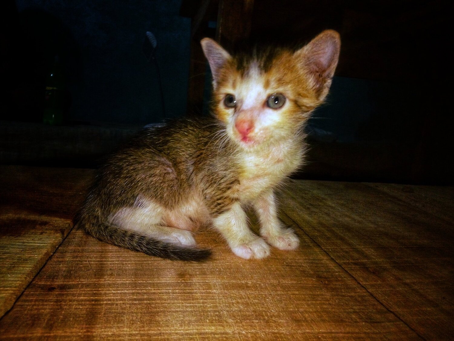 After birth