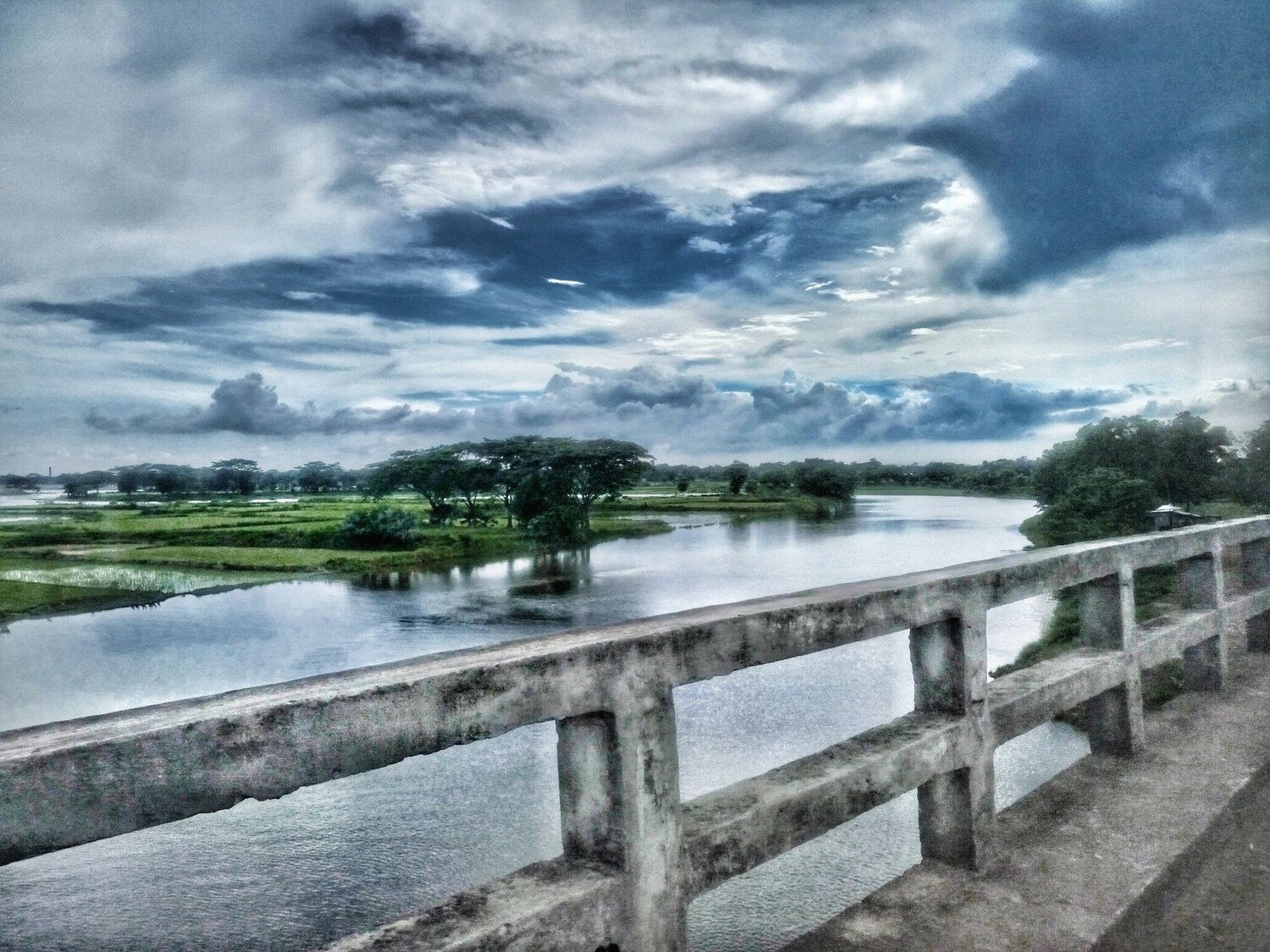 Nature