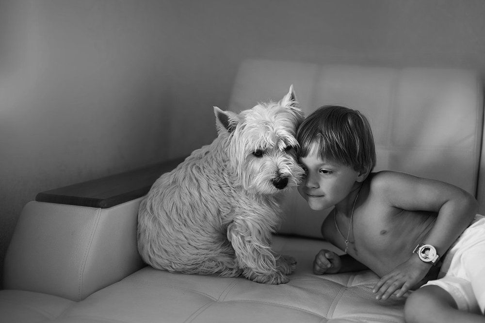 верный друг