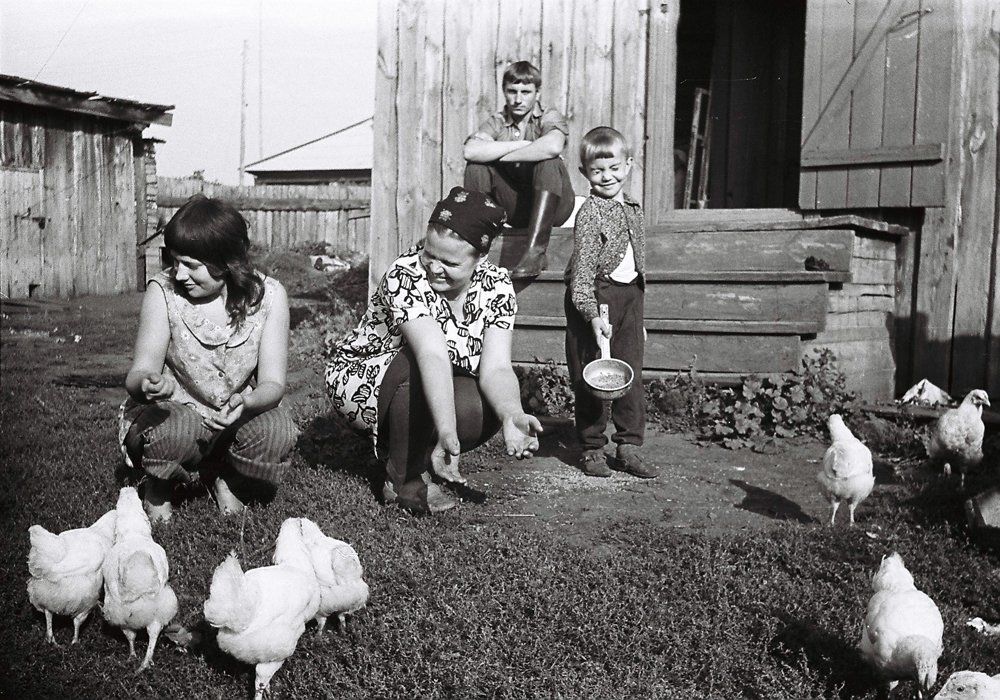 Счастливая деревенская жизнь