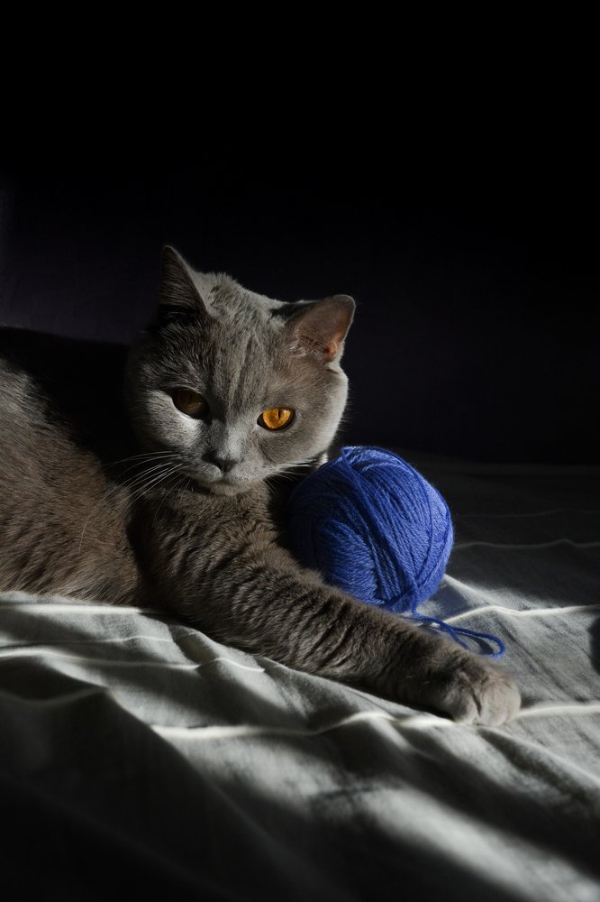 Ее Величество