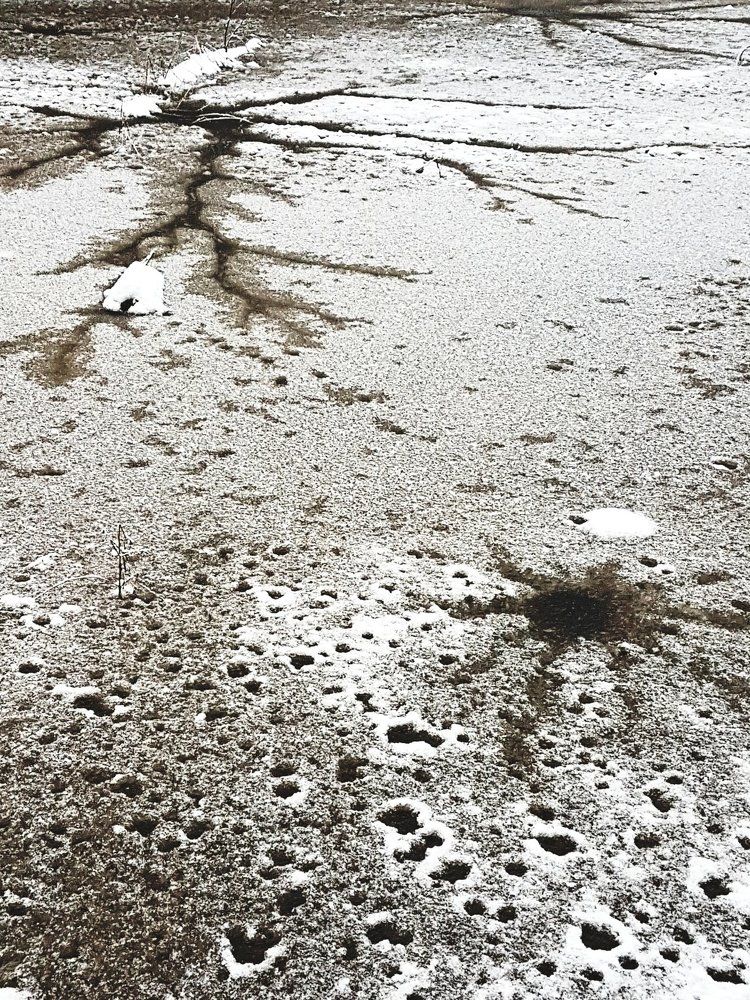 Photograph by Marcin Sokolowski - maarew