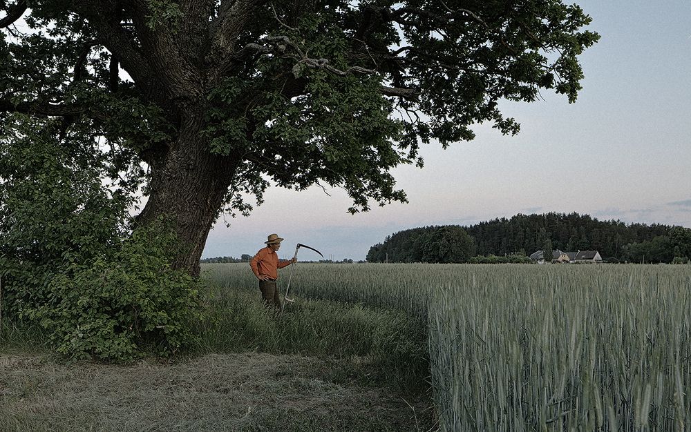 Хлеб насущный