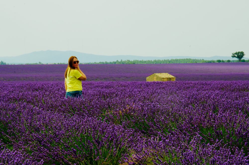 девушка и поле