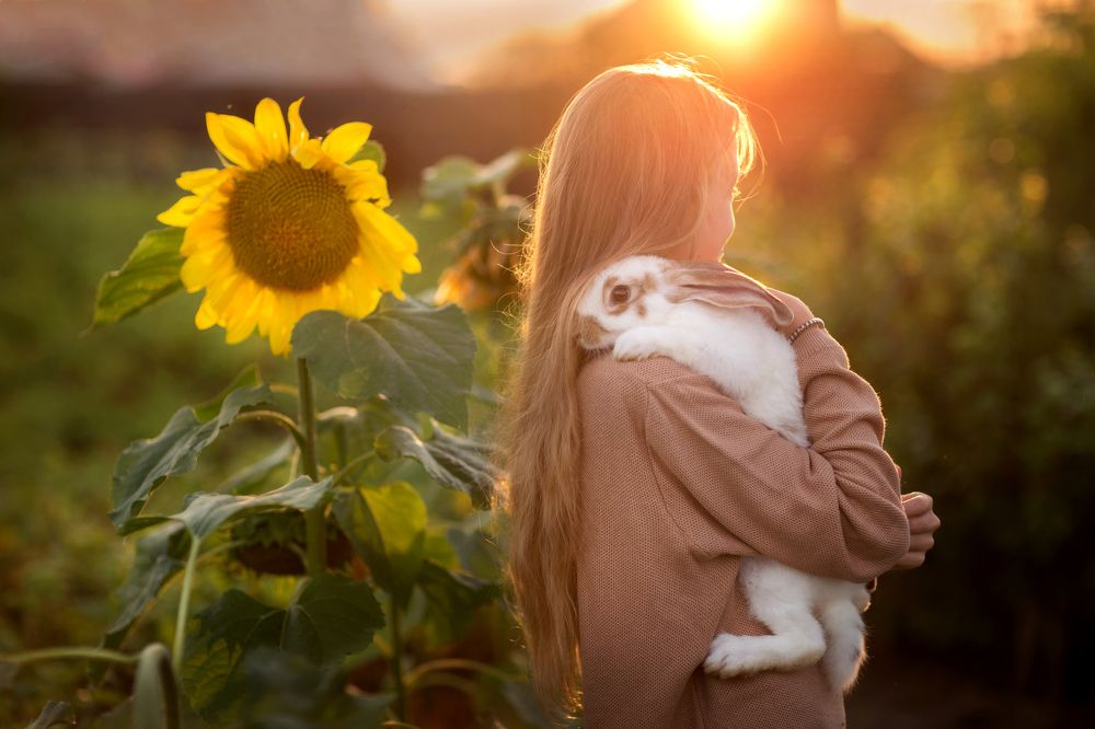 Ушастый друг