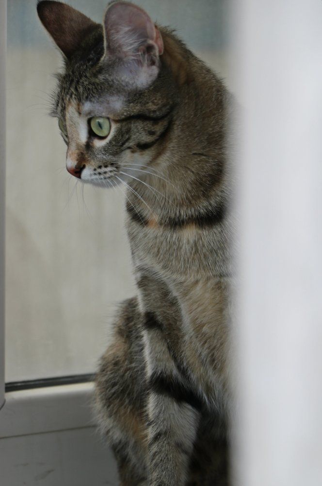 Что там еще?