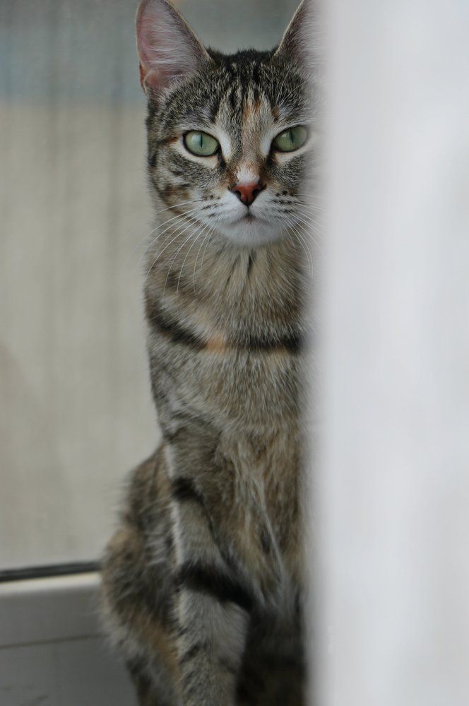 Не достанешь меня.