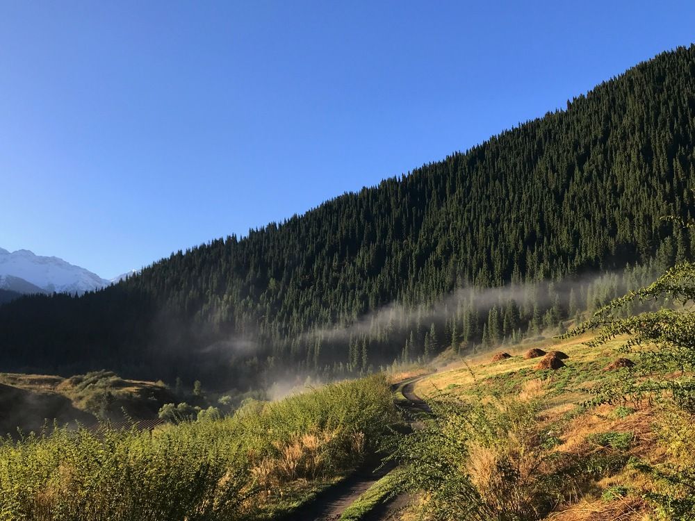 Photograph by Alexandra Kotlyar