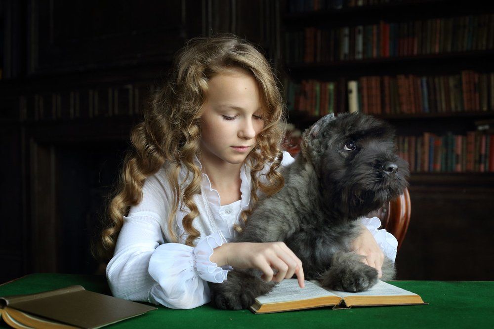 Книга для щенка