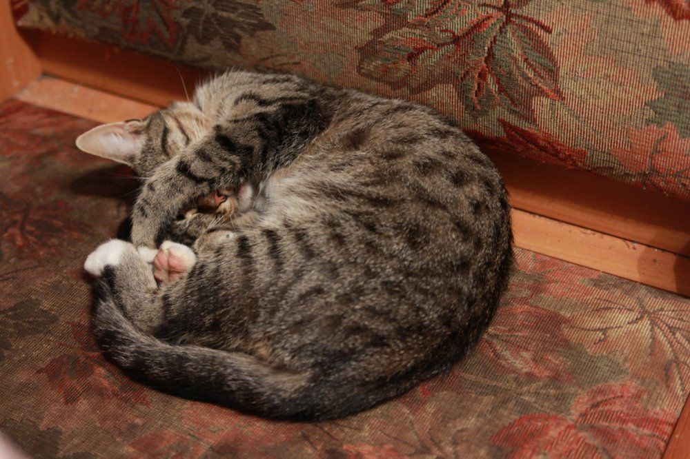 Не мешай спать