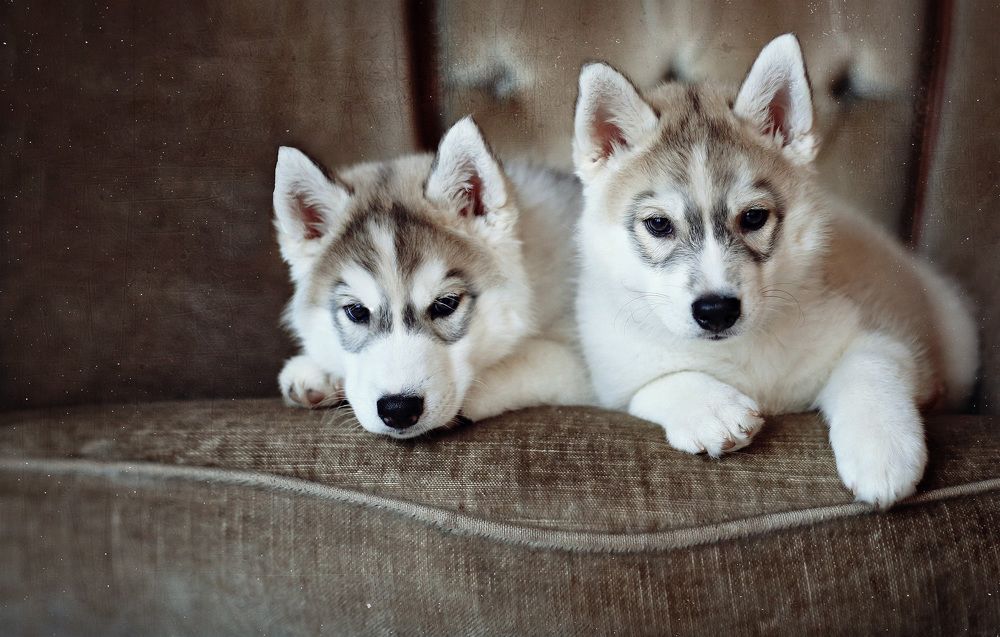 Photograph by Ольга Никонорова