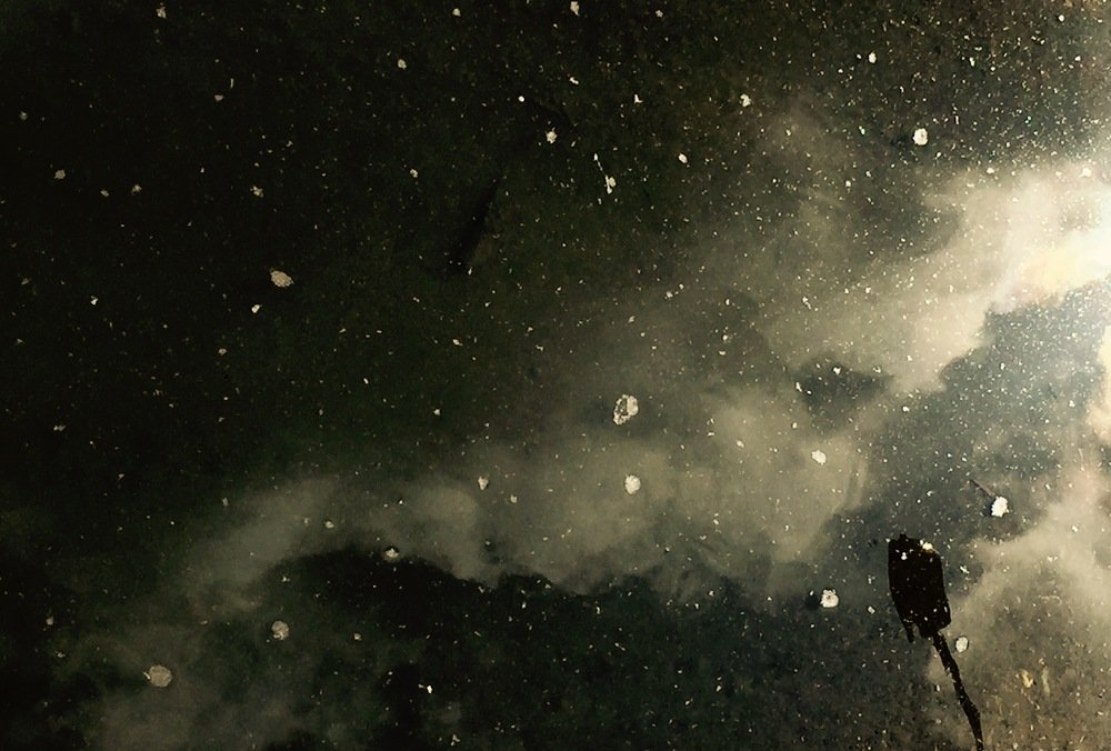 Звезды в луже