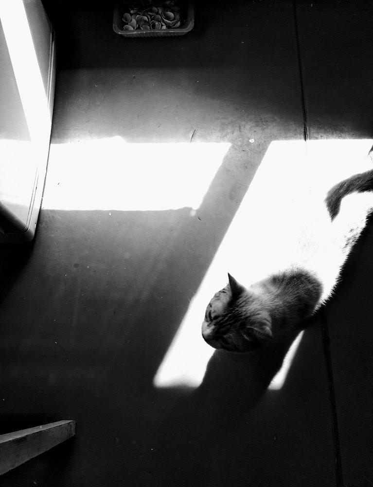 Из тьмы на свет.