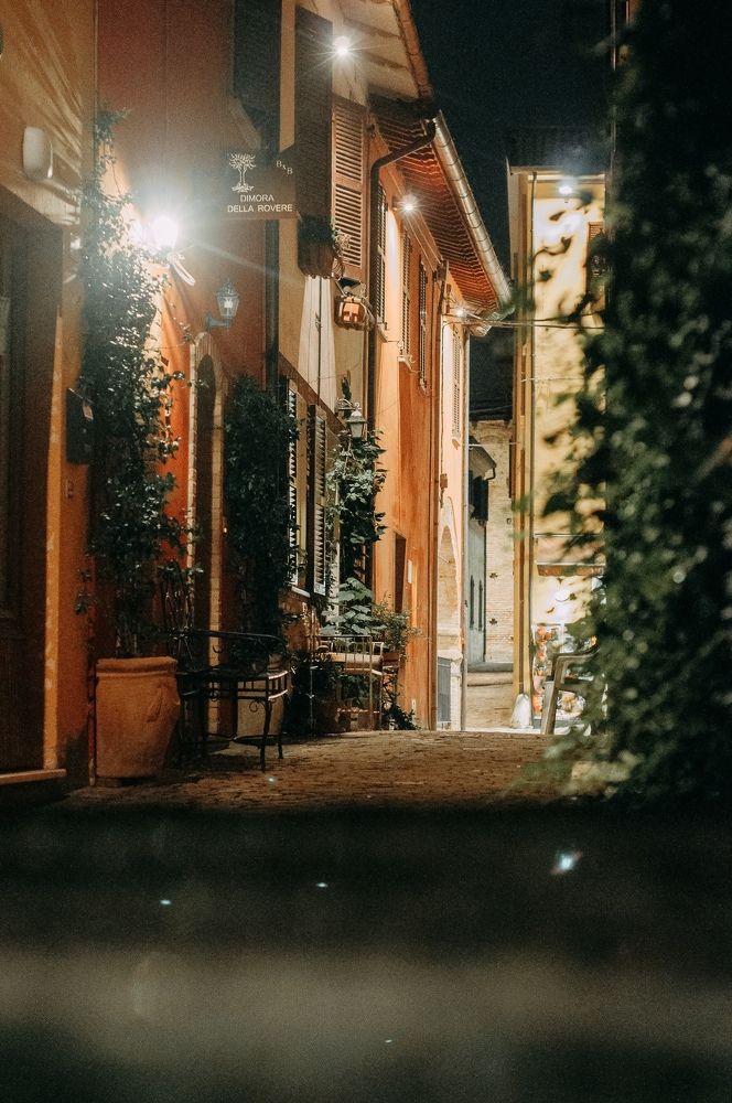 Photograph by Екатерина Гущина