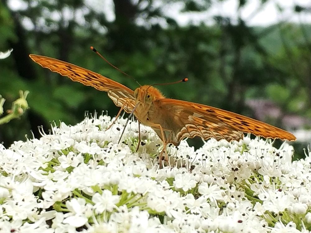 Дозаправка. Refueling.